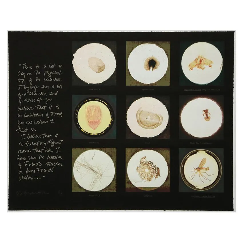 10th Anniversary Limited Edition Portfolio
