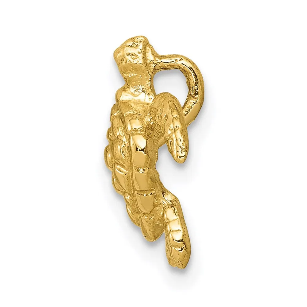 14k Polished Small Sea Turtle Chain Slide