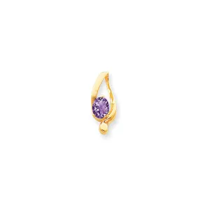 14k Yellow Gold 8x6mm Oval Amethyst Checker slide
