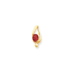 14k Yellow Gold 8x6mm Oval Garnet Checker slide
