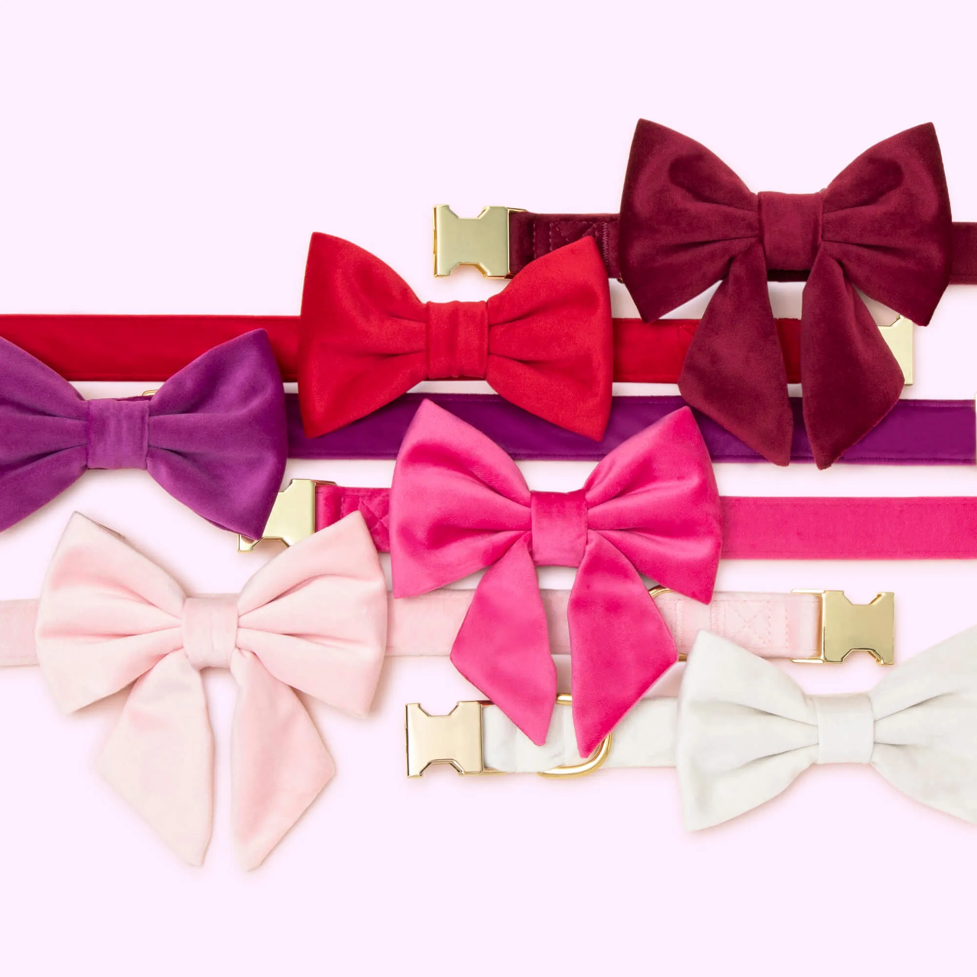 Burgundy Velvet Lady Dog Bow