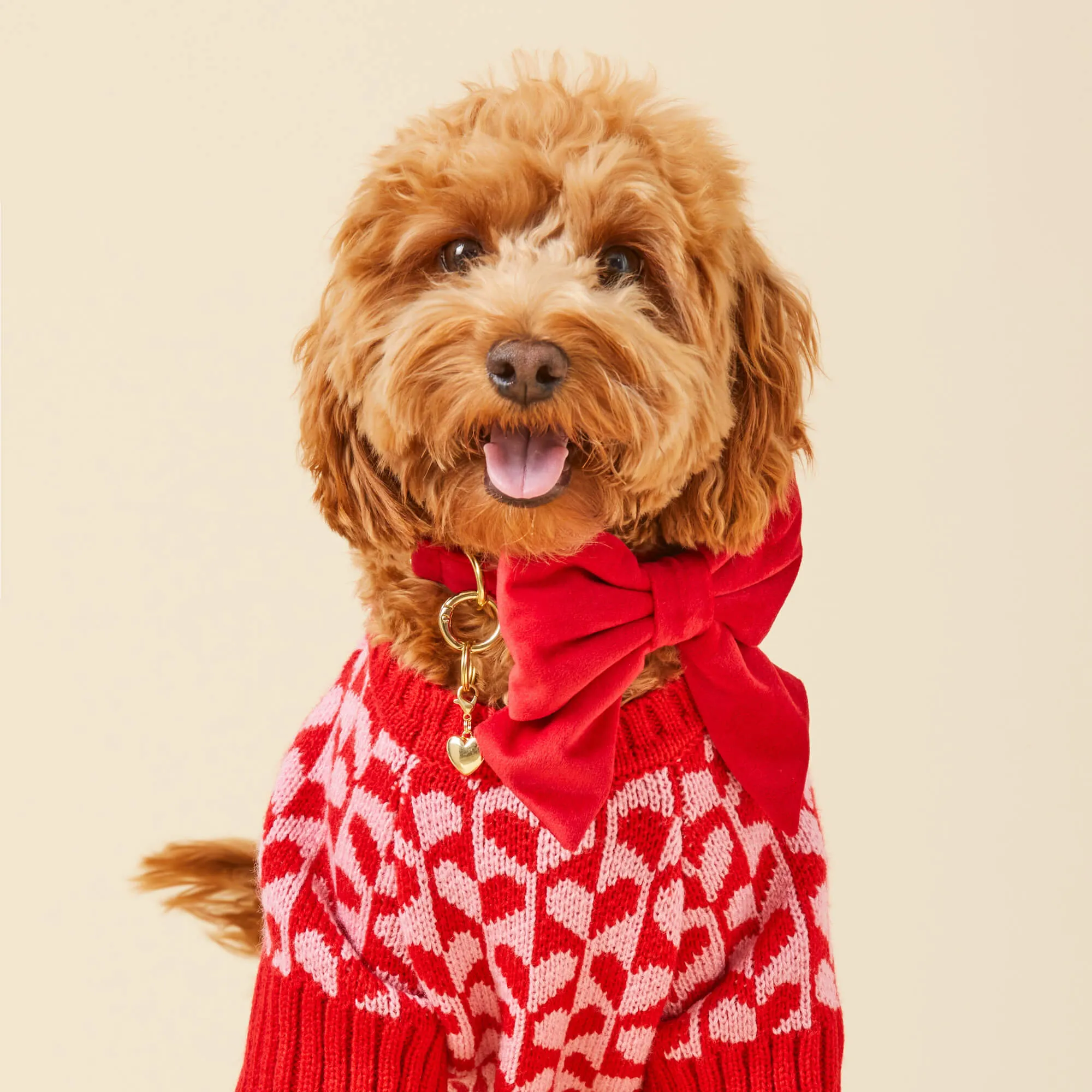 Cranberry Velvet Lady Dog Bow