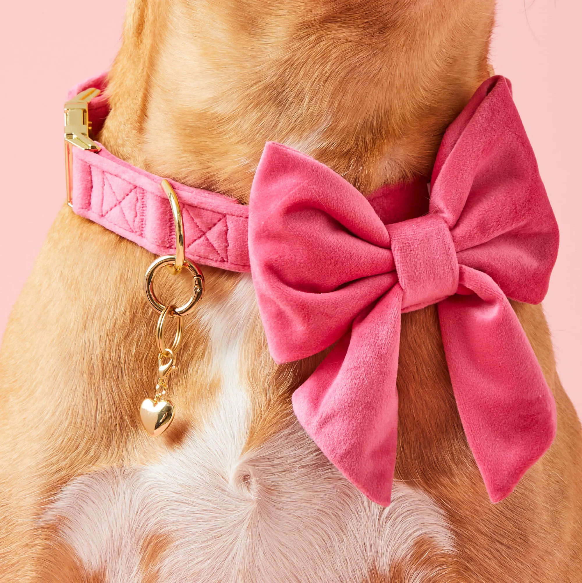 Hot Pink Velvet Lady Dog Bow