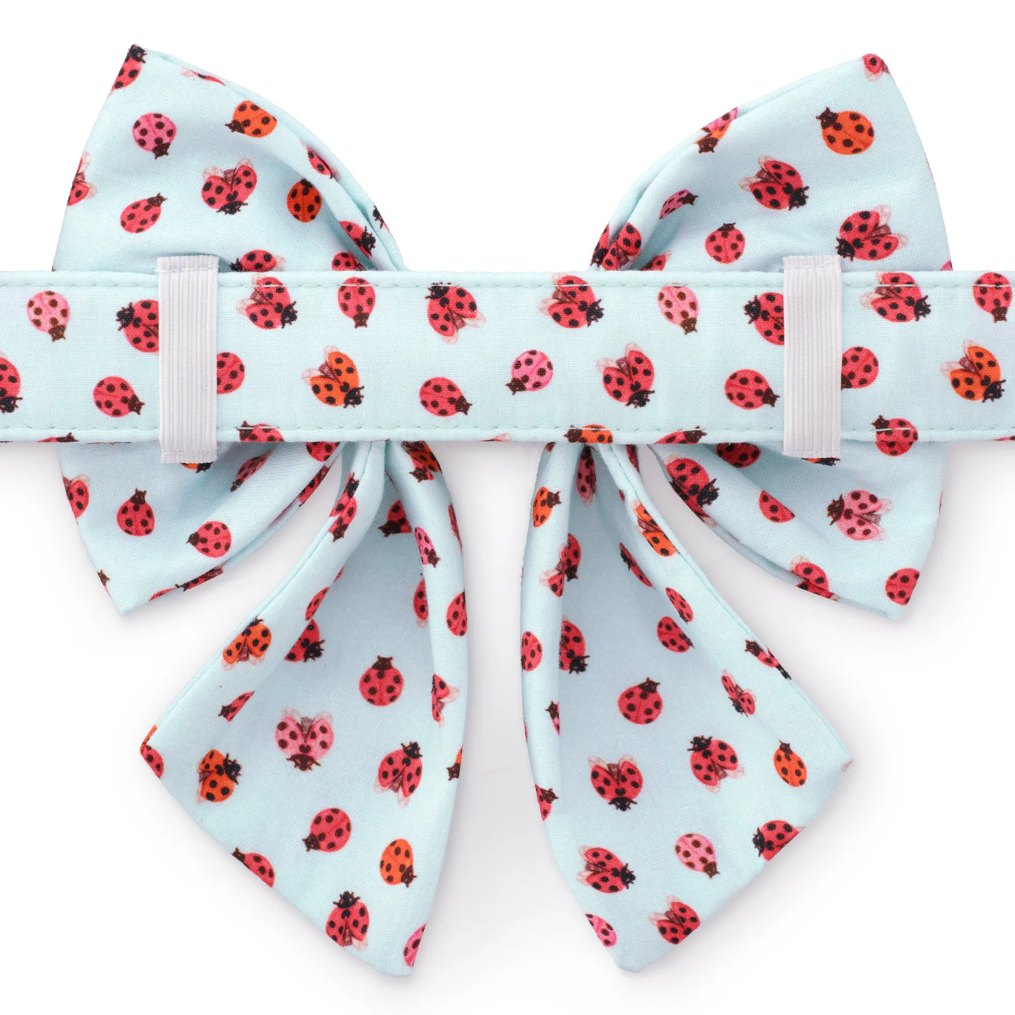 Love Bug Lady Dog Bow