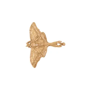 Luna Moth Barrette in Bronze