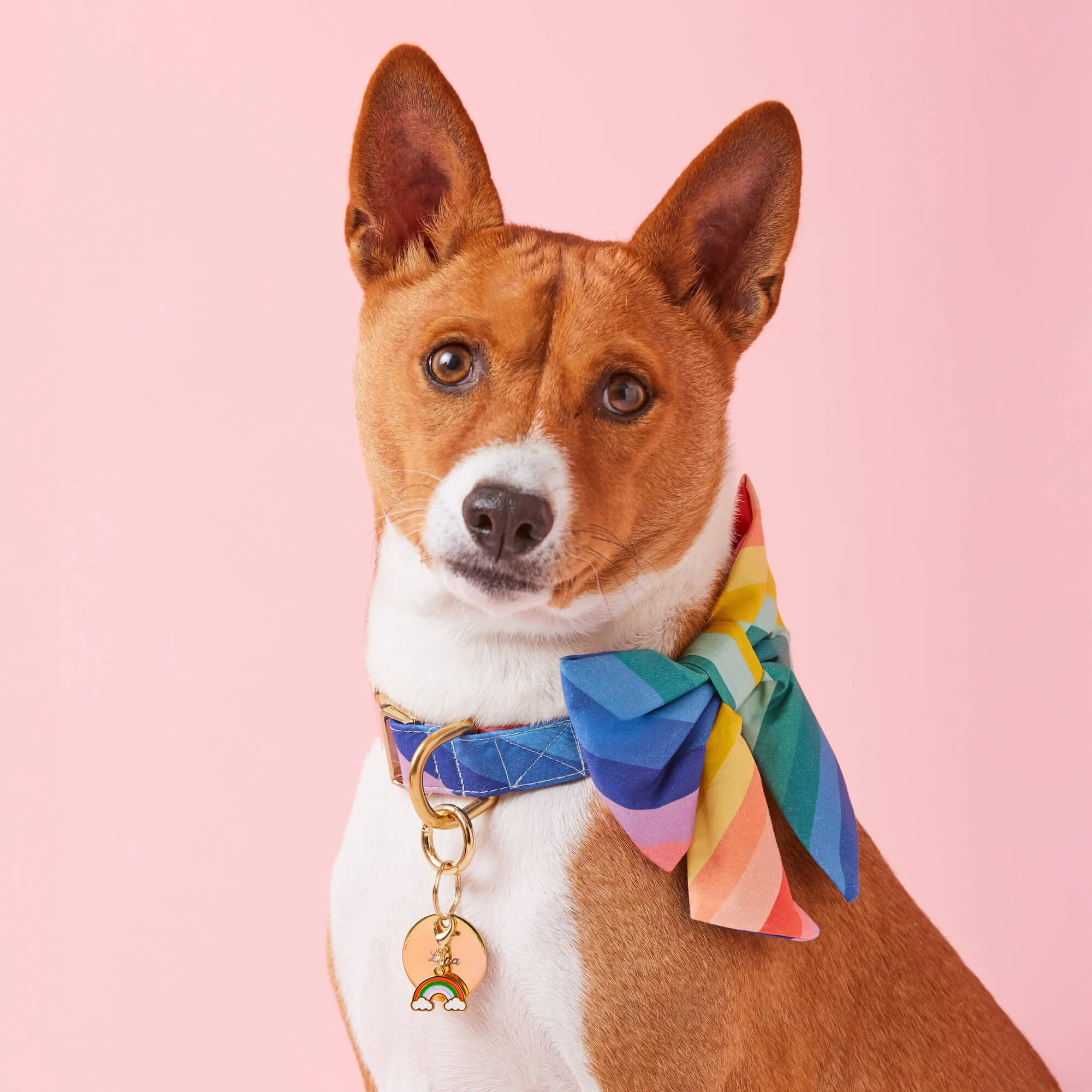 Over the Rainbow Lady Dog Bow