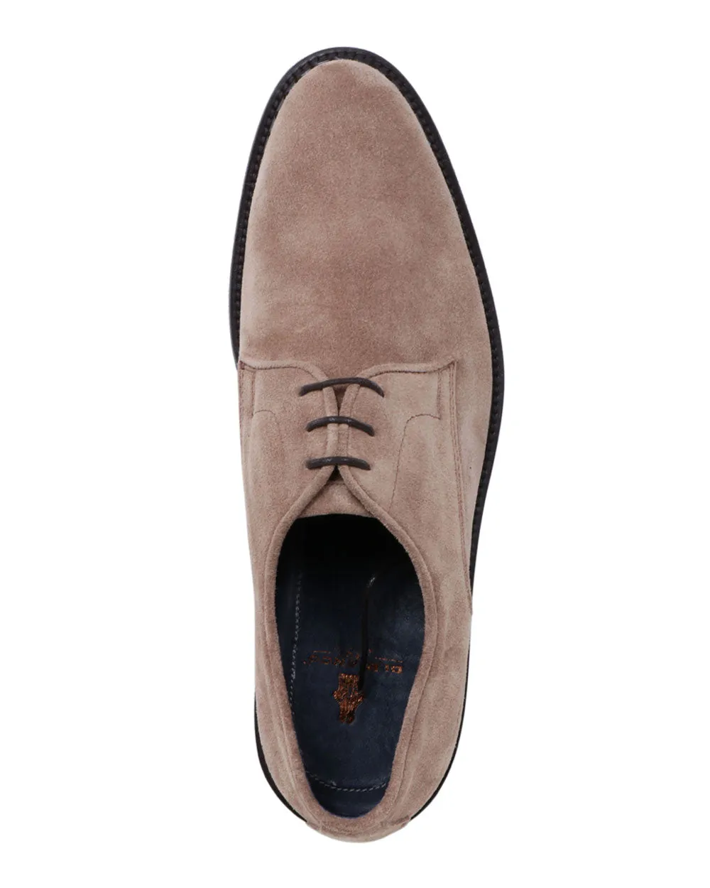 Soverato Suede Lace Up in Antilope
